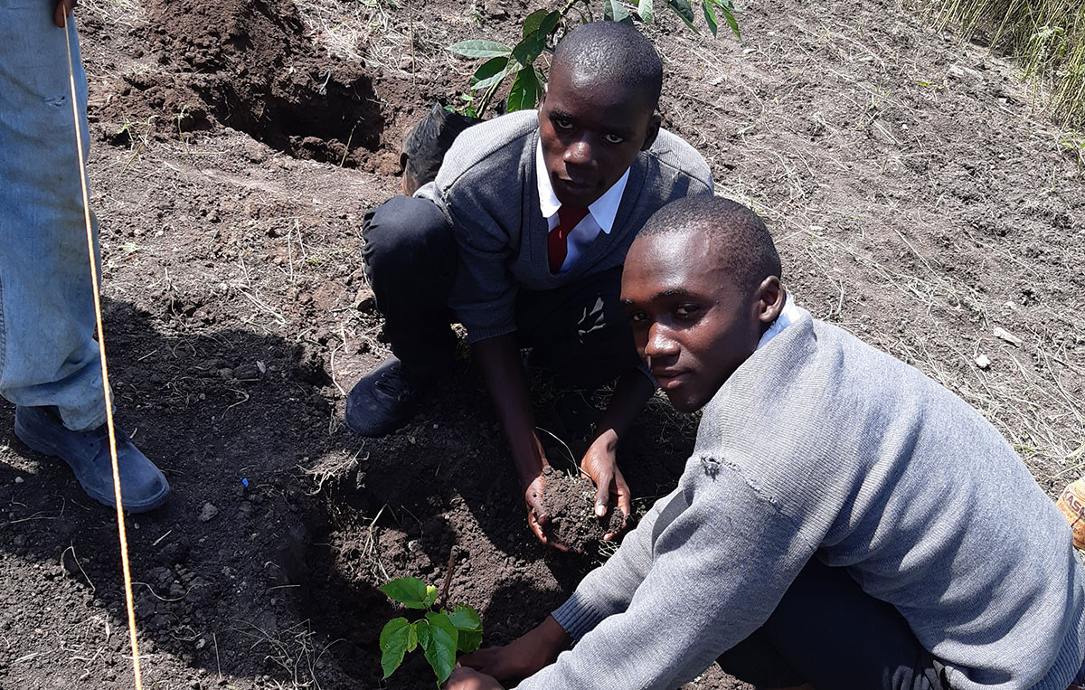 Planting of fruit tree seedlings at Kitengela Magereza High School
